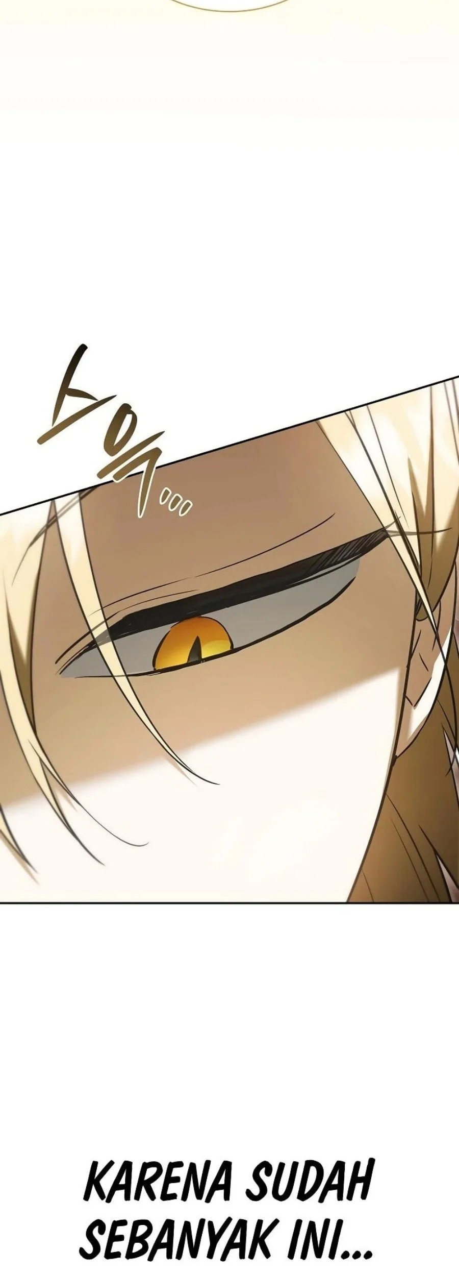 A Mercenary’s Rebirth Among Nobles Chapter 9 Gambar 25