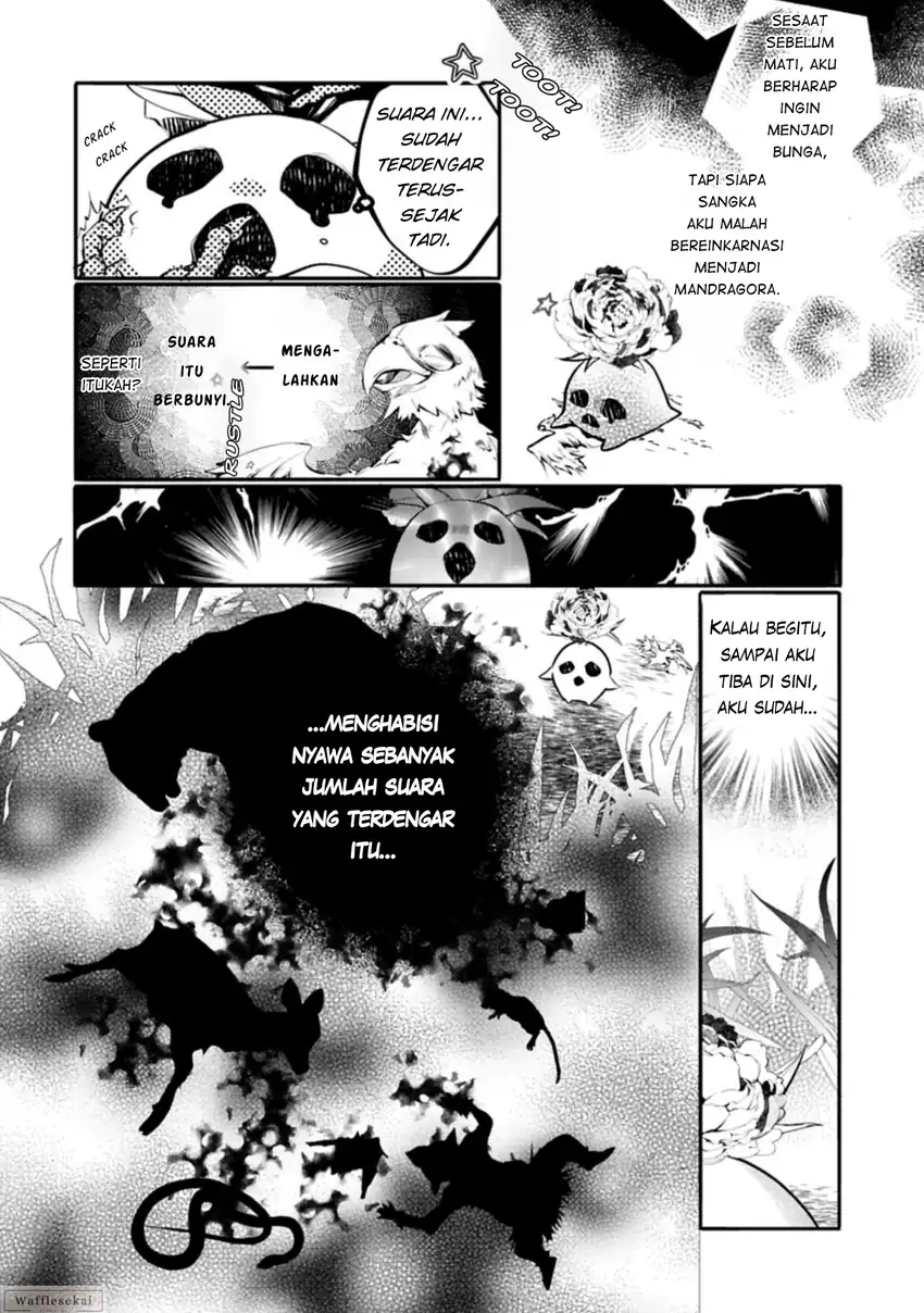 Mandragora tte Baretara Toubatsu desu ka?: Hana no Majo no Hohoemi wa Kanchigai no Tane o Maku Chapter 1 Gambar 13