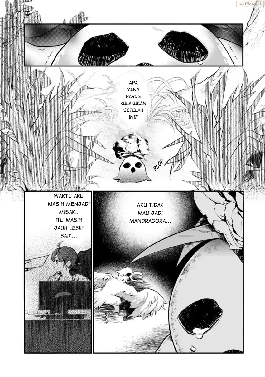 Mandragora tte Baretara Toubatsu desu ka?: Hana no Majo no Hohoemi wa Kanchigai no Tane o Maku Chapter 1 Gambar 14