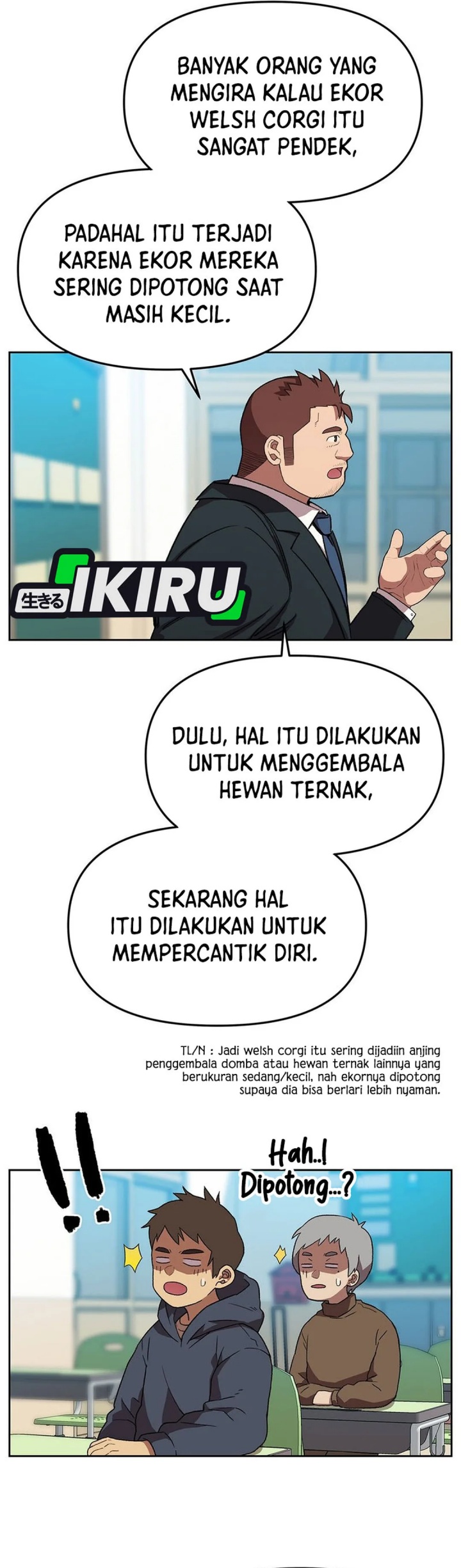 Halaman 17