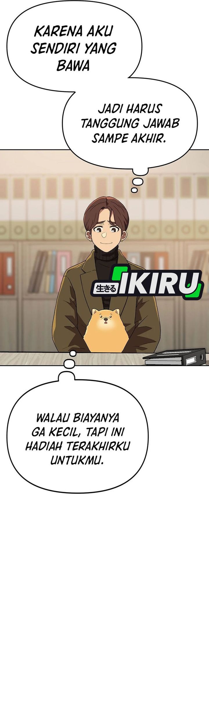 Halaman 17