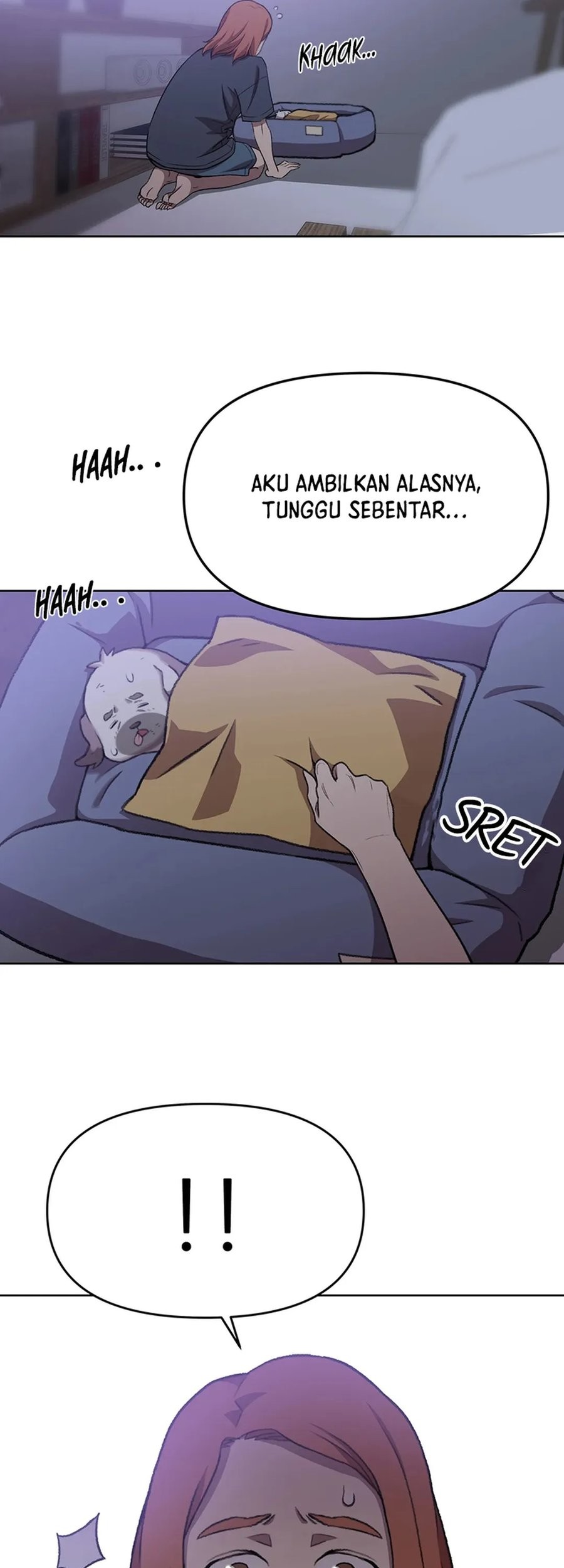 Halaman 17