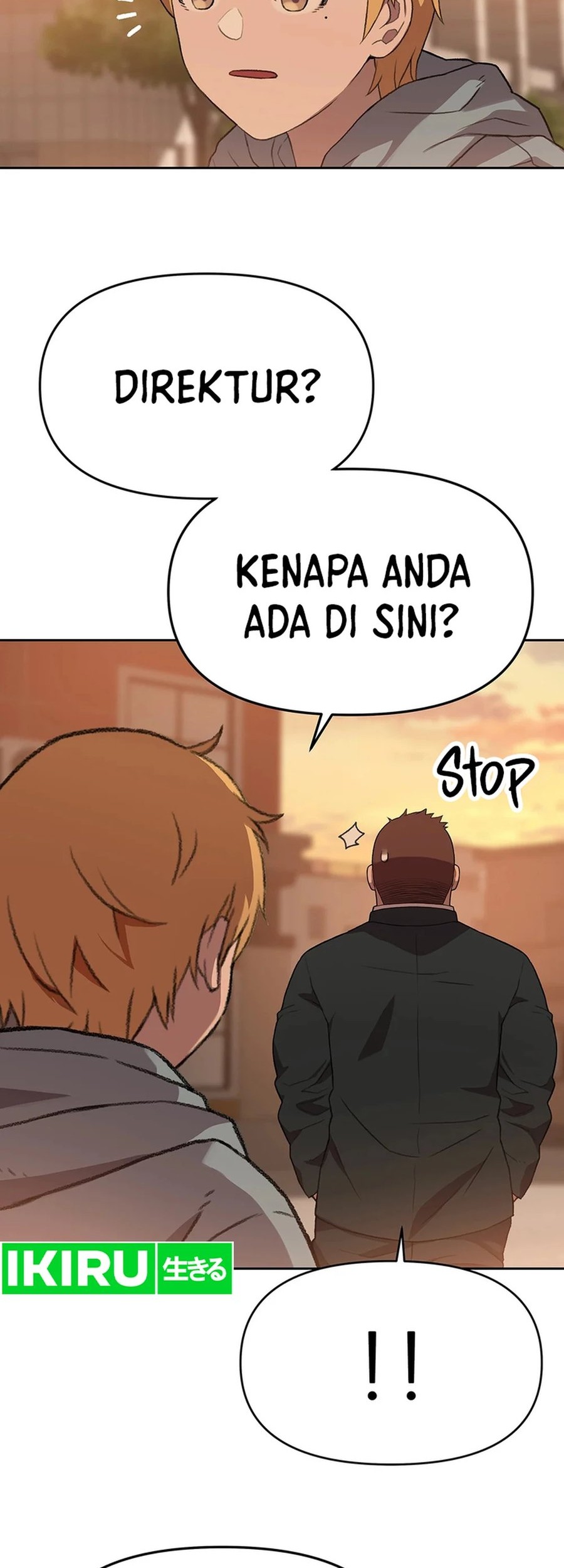 Halaman 13