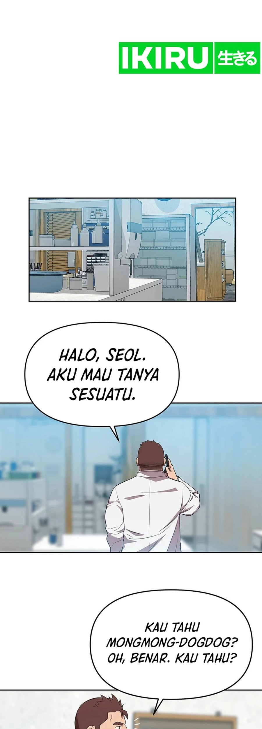 Halaman 17