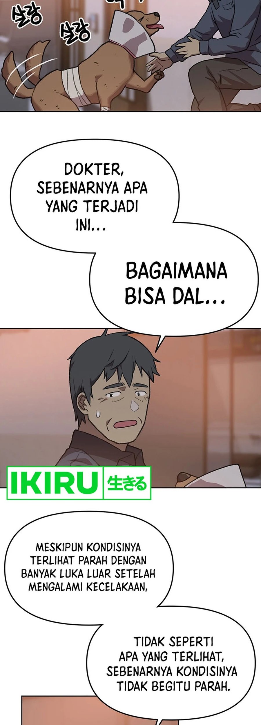 Halaman 15
