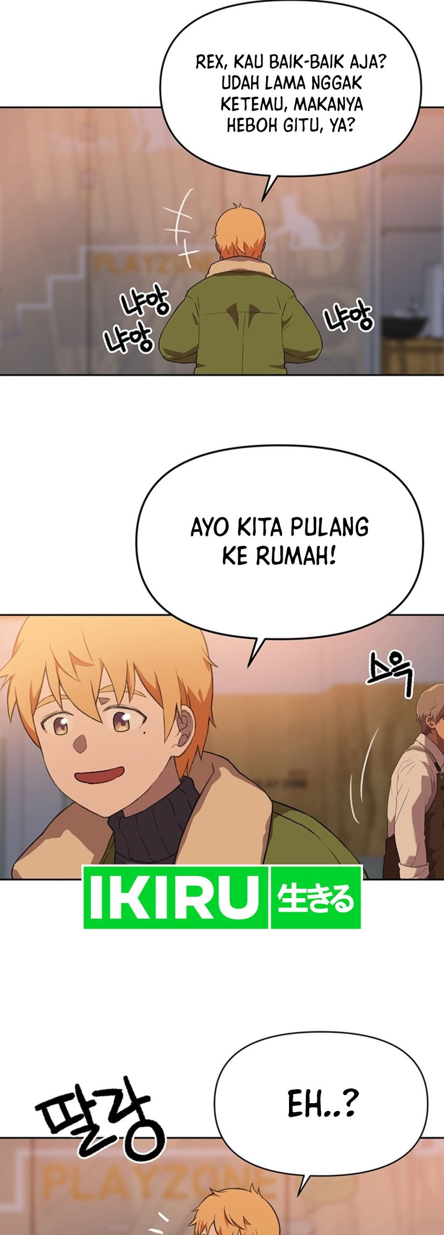 Halaman 13