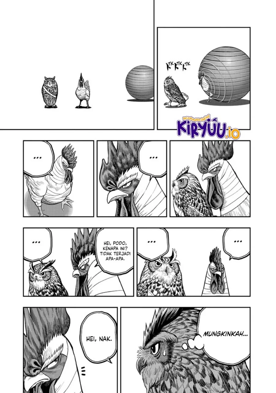 Rooster Fighter Chapter 47 Gambar 10