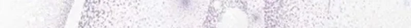 Shadow of Paradise Chapter 25 Gambar 38