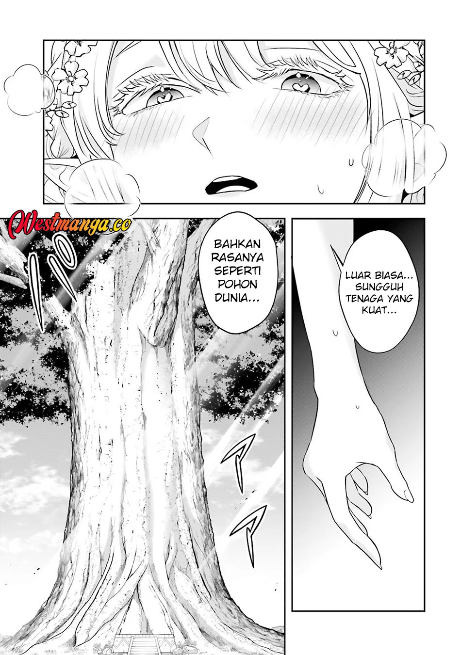 Sono Akuyaku Kizoku, Mama Heroine ga Suki Sugiru ~Shinshi na Doryoku de Saikyou to Nari Fuguu na Oshi Chara Tasukemakuru~ Chapter 37.5 Gambar 7