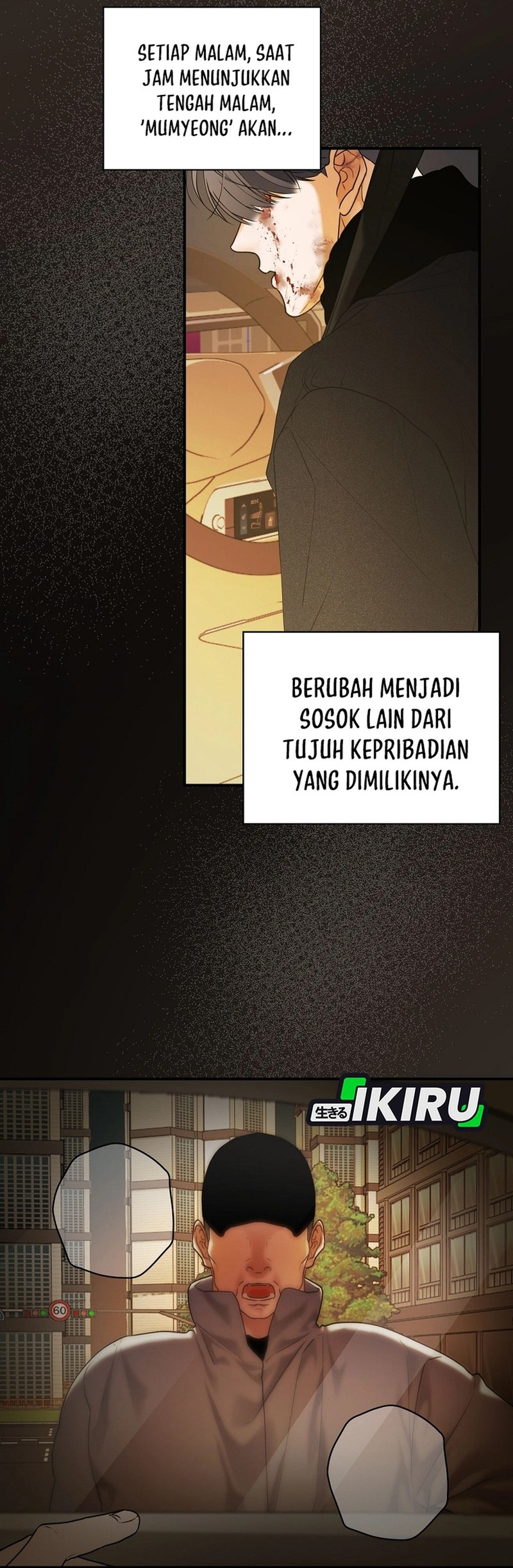 Halaman 17