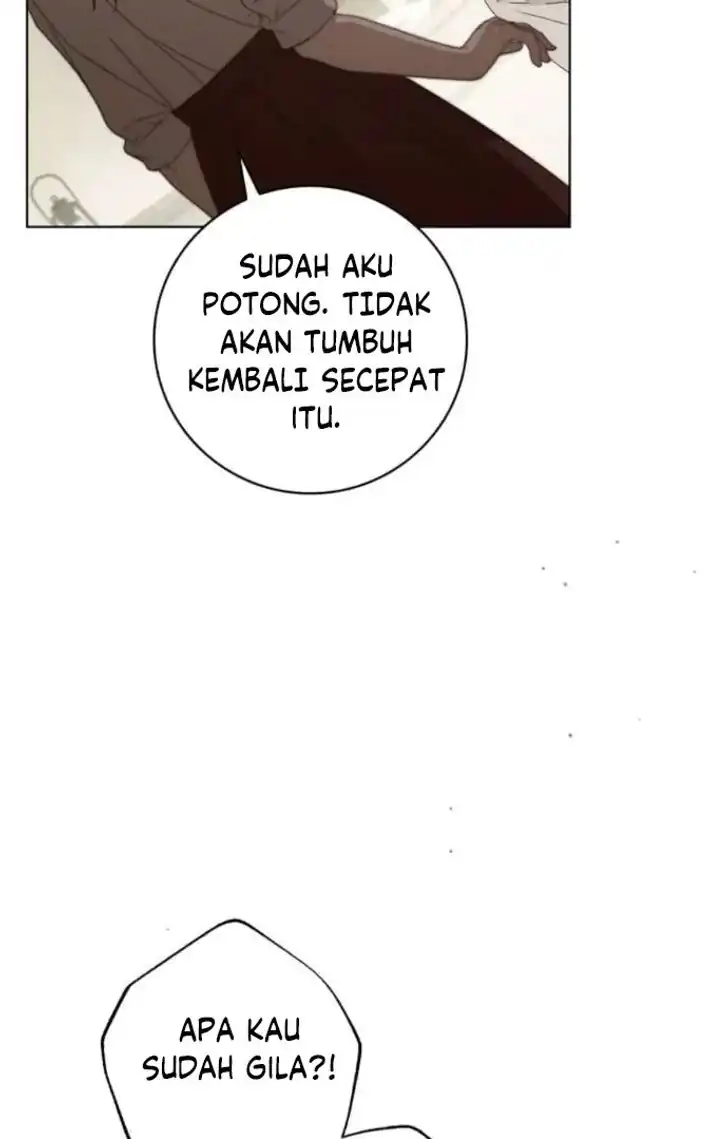 The Count’s Secret Maid Chapter 53 - Halaman 39