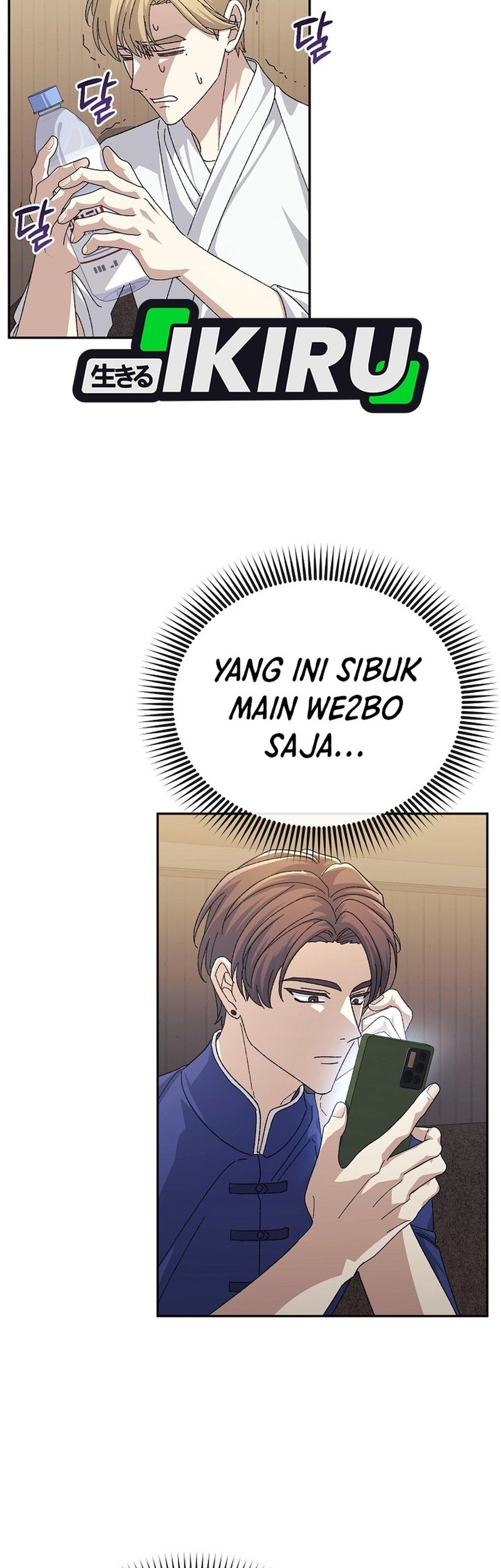 Halaman 17