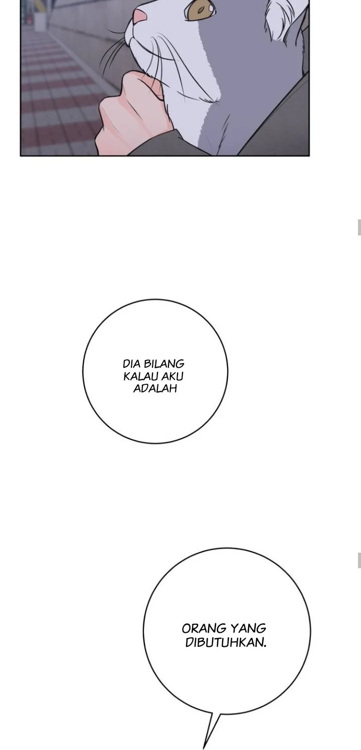 The Secret That Made You Cry Chapter 2 Gambar 18