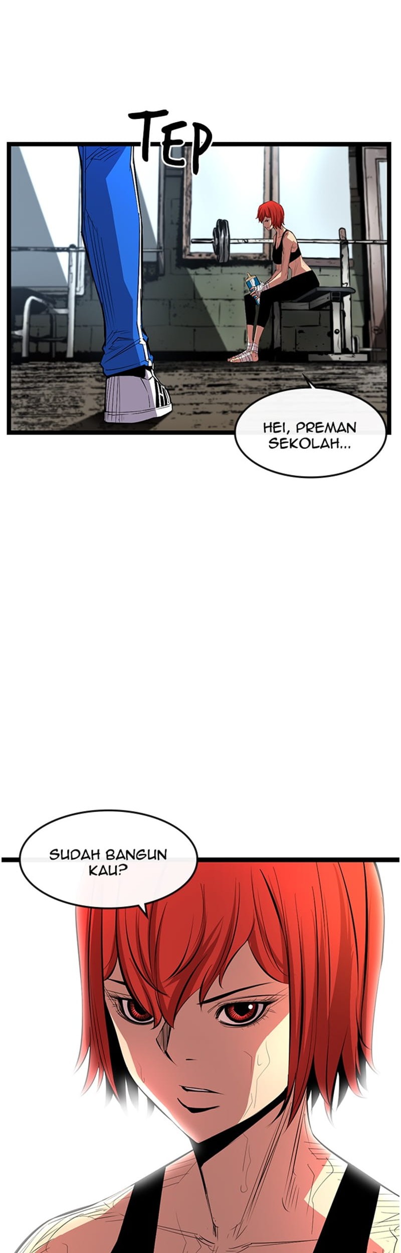 Halaman 17