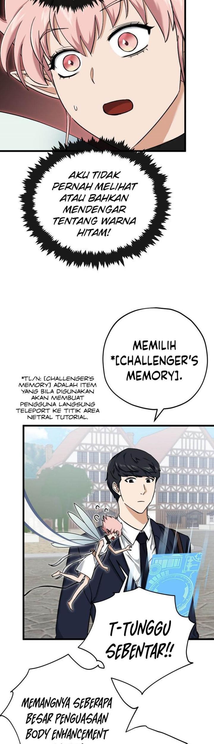 Halaman 17