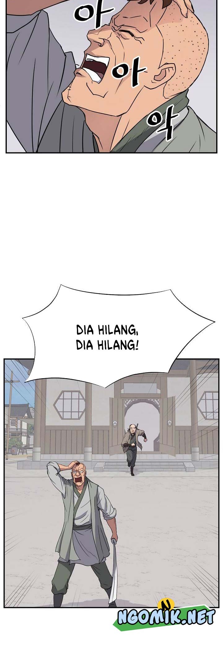 Halaman 17