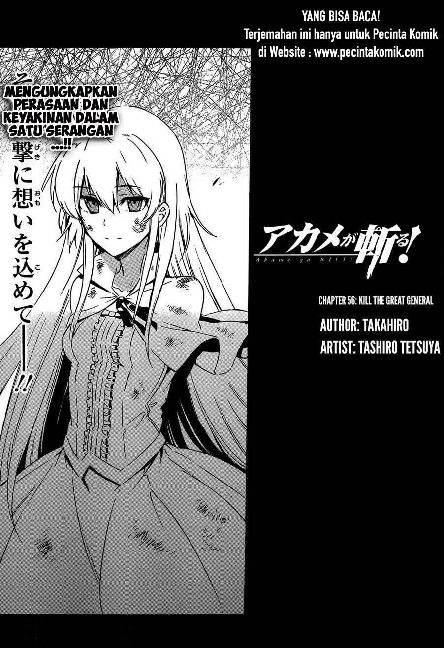Akame ga Kill! Chapter 56 halaman 19