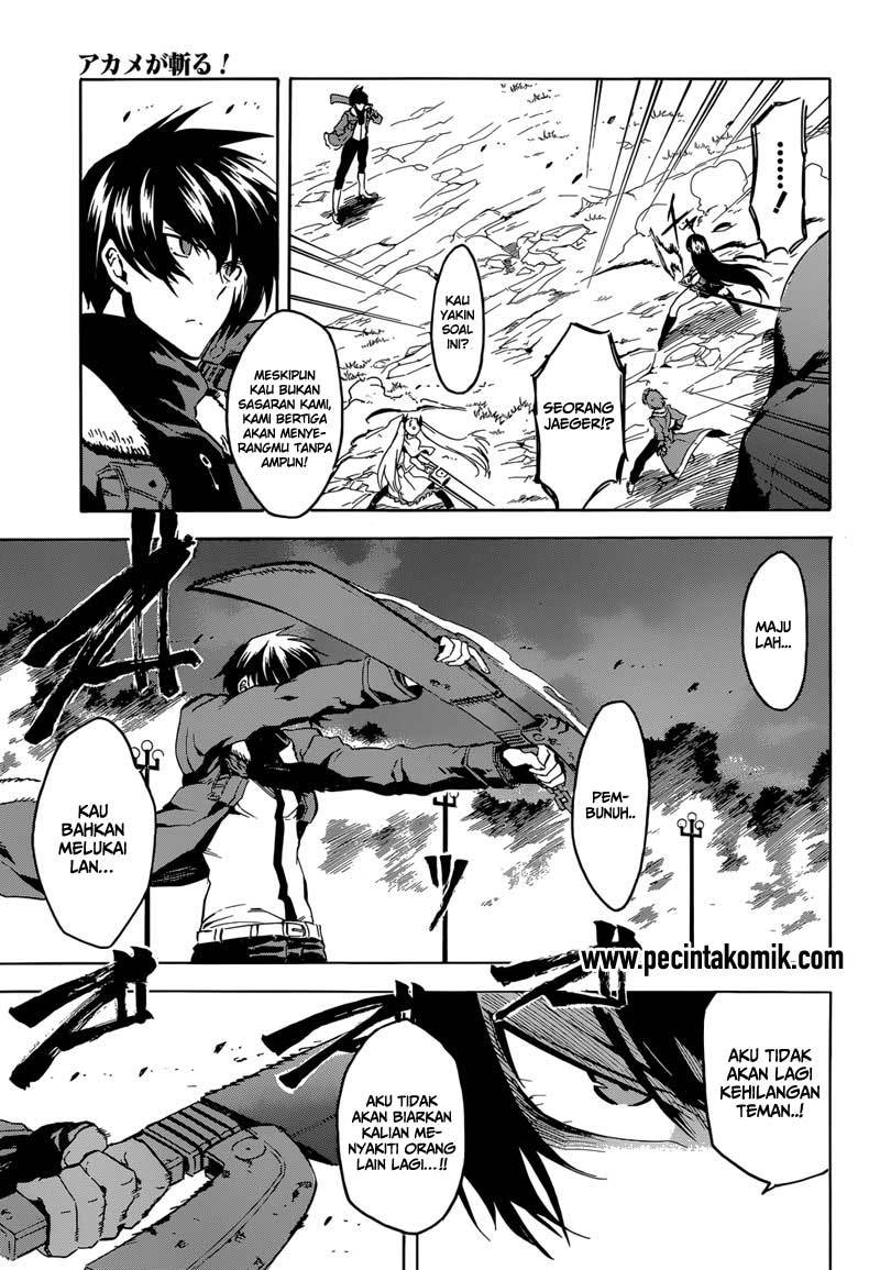 Akame ga Kill! Chapter 42 halaman 14