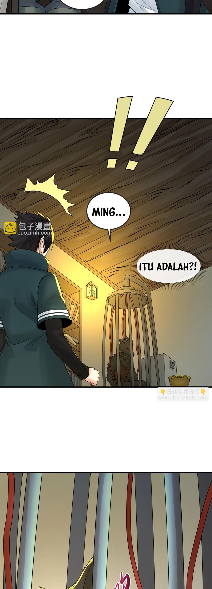 Halaman 11