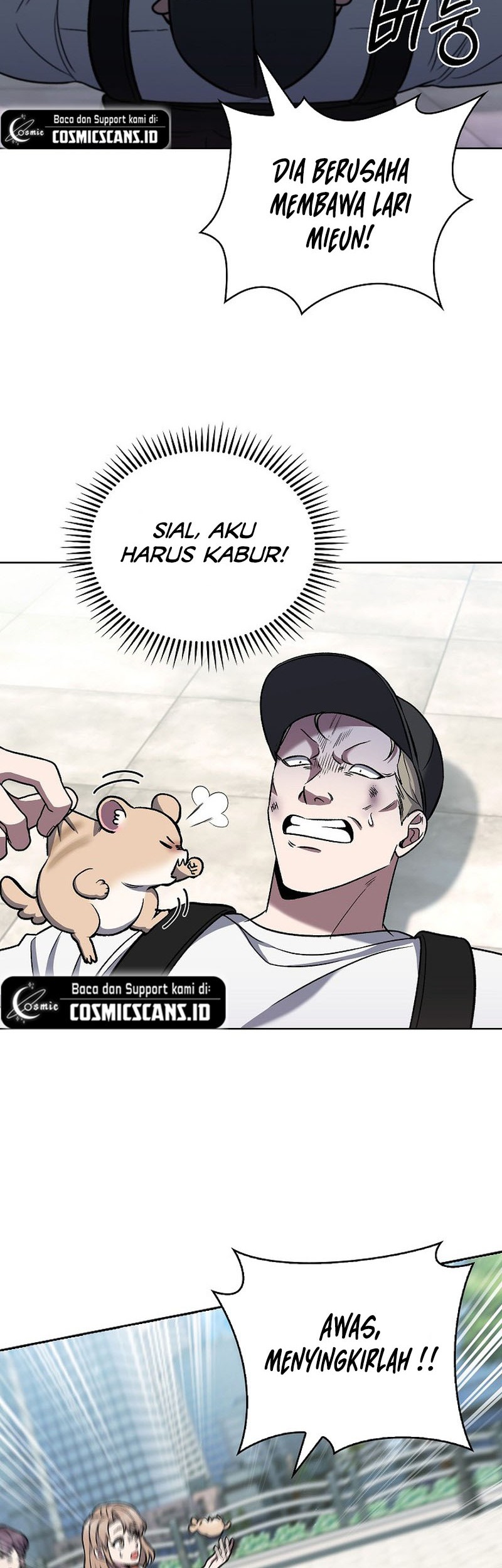 Halaman 17