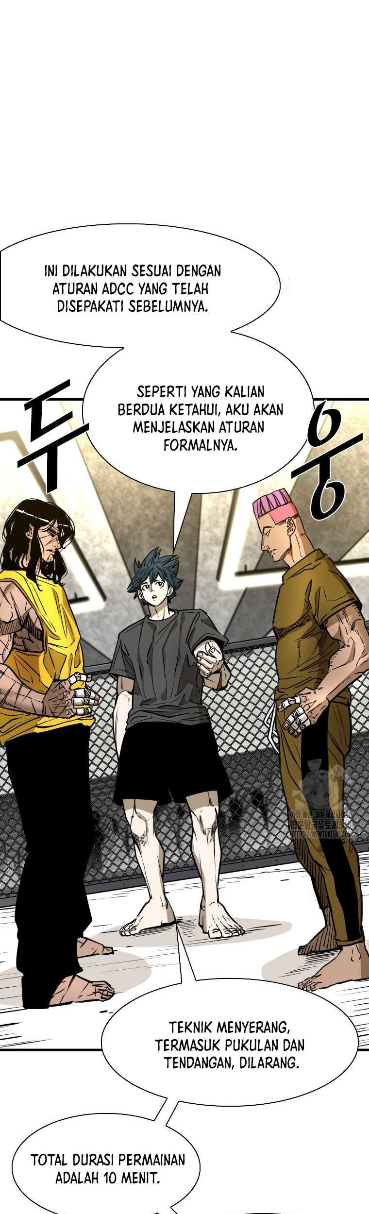 Halaman 17