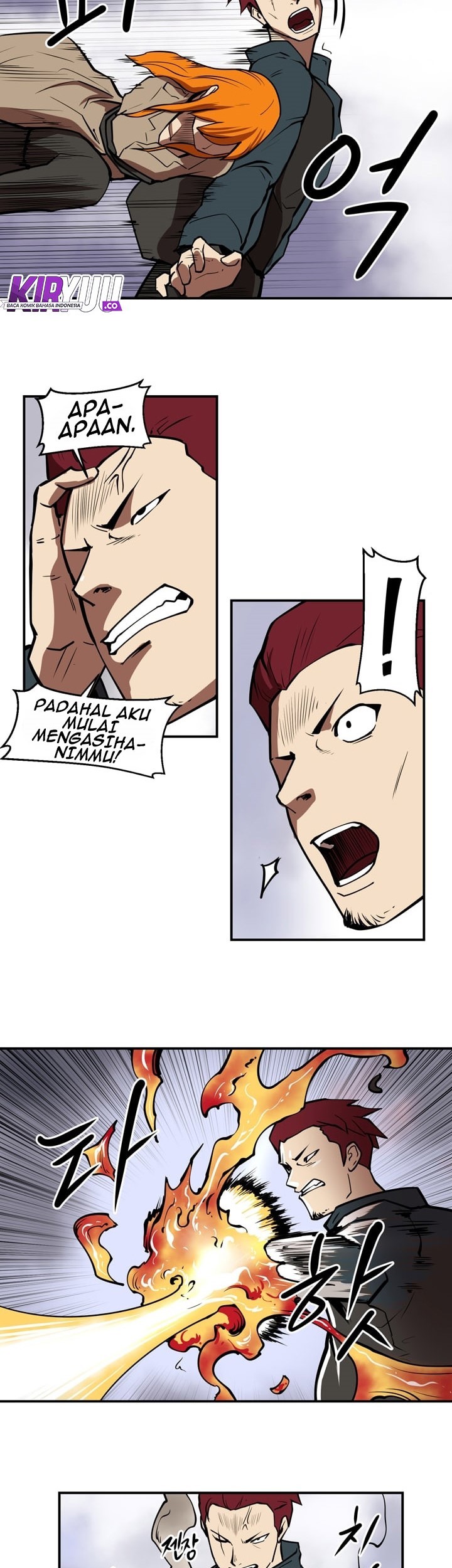 Halaman 17