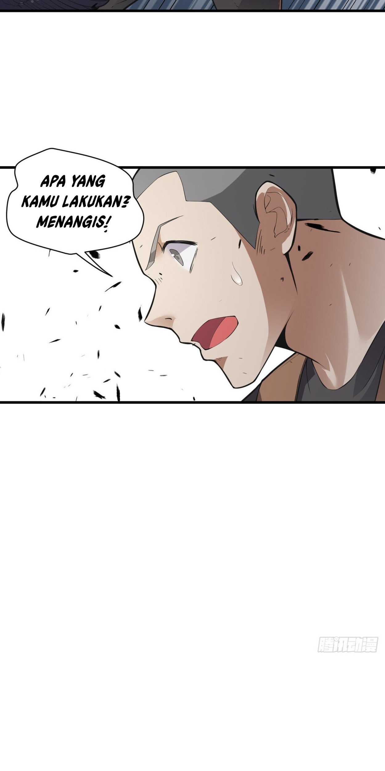 Halaman 17