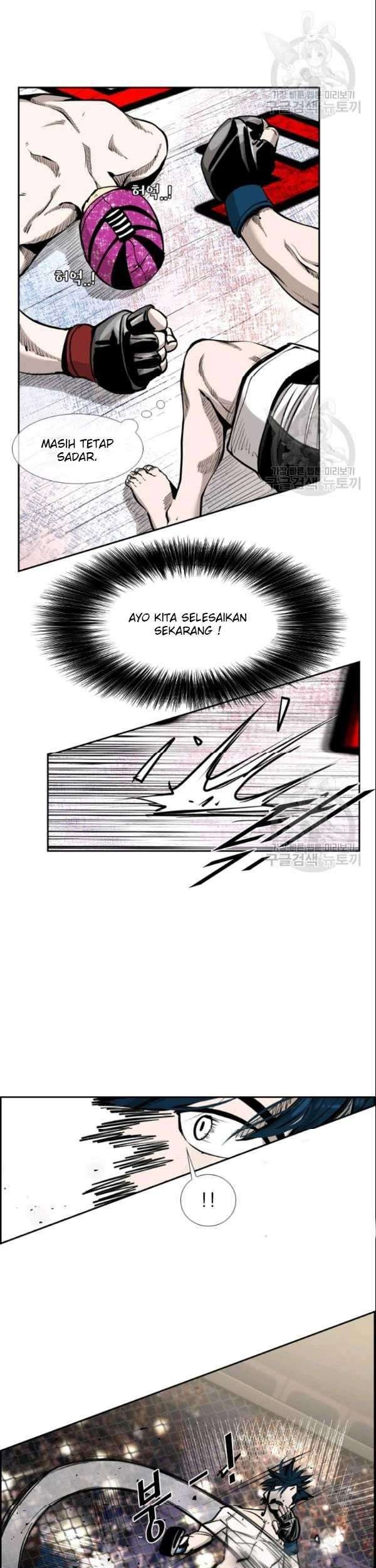 Halaman 17